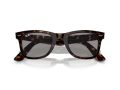 Ray-Ban Wayfarer Solbriller RB 0RB2140 1382R5