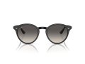 Ray-Ban Solbriller RB 0RB2180 601/11