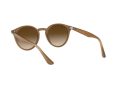Ray-Ban Solbriller RB 2180 6166/13
