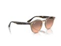 Ray-Ban Solbriller RB 2180 678846