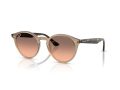 Ray-Ban Solbriller RB 2180 678846