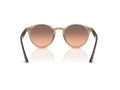 Ray-Ban Solbriller RB 2180 678846
