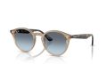 Ray-Ban Solbriller RB 2180 6788V1