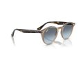 Ray-Ban Solbriller RB 2180 6788V1