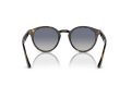 Ray-Ban Solbriller RB 0RB2180 710/4L