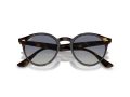 Ray-Ban Solbriller RB 0RB2180 710/4L
