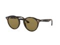 Ray-Ban Solbriller RB 2180 710/73