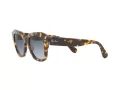 Ray-Ban State Street Solbriller RB 2186 1332/86