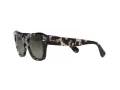 Ray-Ban State Street Solbriller RB 2186 1333/71