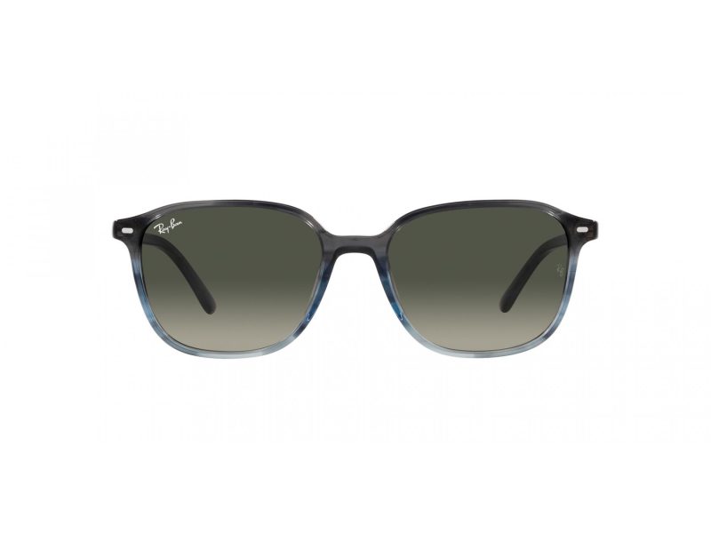 Ray-Ban Leonard Solbriller RB 2193 138171