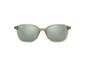 Ray-Ban Leonard Solbriller RB 2193 66355C