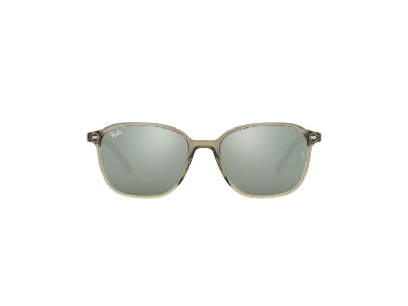 Ray-Ban Leonard Solbriller RB 2193 66355C