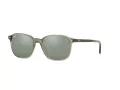 Ray-Ban Leonard Solbriller RB 2193 66355C