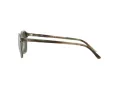 Ray-Ban Leonard Solbriller RB 2193 66355C