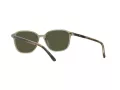 Ray-Ban Leonard Solbriller RB 2193 66355C