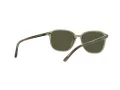 Ray-Ban Leonard Solbriller RB 2193 66355C