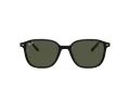 Ray-Ban Leonard Solbriller RB 2193 901/31