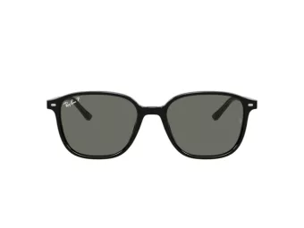 Ray-Ban Leonard Solbriller RB 2193 901/58