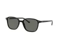 Ray-Ban Leonard Solbriller RB 2193 901/58