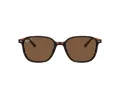 Ray-Ban Leonard Solbriller RB 2193 902/57