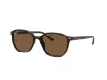 Ray-Ban Leonard Solbriller RB 2193 902/57