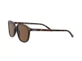 Ray-Ban Leonard Solbriller RB 2193 902/57