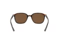 Ray-Ban Leonard Solbriller RB 2193 902/57