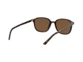 Ray-Ban Leonard Solbriller RB 2193 902/57