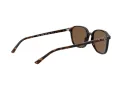 Ray-Ban Leonard Solbriller RB 2193 902/57