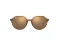 Ray-Ban Thalia Solbriller RB 2195 6636/93