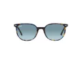 Ray-Ban Elliot Solbriller RB 2197 13563M