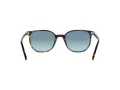 Ray-Ban Elliot Solbriller RB 2197 13563M