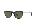 Ray-Ban Elliot Solbriller RB 2197 901/31