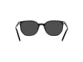 Ray-Ban Elliot Solbriller RB 2197 901/48
