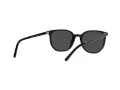 Ray-Ban Elliot Solbriller RB 2197 901/48