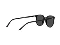 Ray-Ban Elliot Solbriller RB 2197 901/48