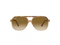 Ray-Ban Bill Solbriller RB 2198 129251