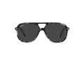 Ray-Ban Bill Solbriller RB 2198 133348