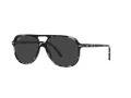 Ray-Ban Bill Solbriller RB 2198 133348