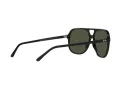 Ray-Ban Bill Solbriller RB 2198 901/31