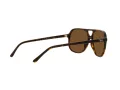 Ray-Ban Bill Solbriller RB 2198 902/57