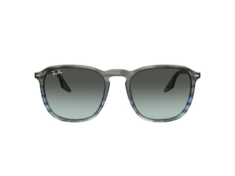 Ray-Ban Solbriller RB 0RB2203 1391GK