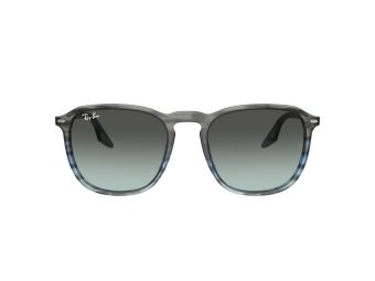 Ray-Ban Solbriller RB 0RB2203 1391GK Ray-Ban Solbriller RB 0RB2203 1391GK