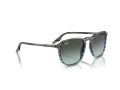 Ray-Ban Solbriller RB 0RB2203 1391GK