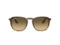 Ray-Ban Solbriller RB 0RB2203 13920A