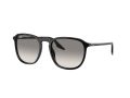 Ray-Ban Solbriller RB 0RB2203 901/32