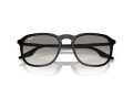 Ray-Ban Solbriller RB 0RB2203 901/32