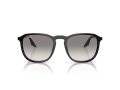Ray-Ban Solbriller RB 0RB2203 901/32