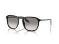 Ray-Ban Solbriller RB 0RB2203 901/32