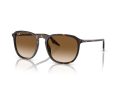 Ray-Ban Solbriller RB 0RB2203 902/51